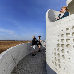 Bird_Blind-10_72
