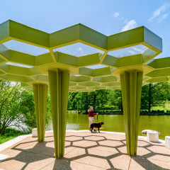 Forest_Park-3