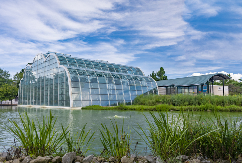 MOBOT Butterfly House by Christner Architects