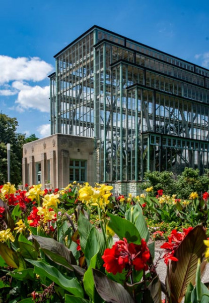 Jewel Box in Forest Park by Christner Architects