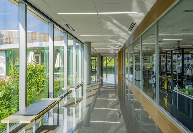 Danforth_Corridor_72