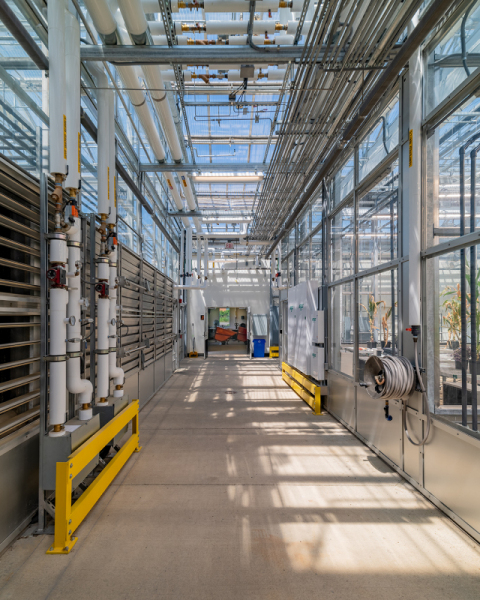 Danforth_Greenhouses-1_72