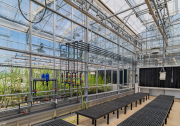 Danforth_Greenhouses-3_72