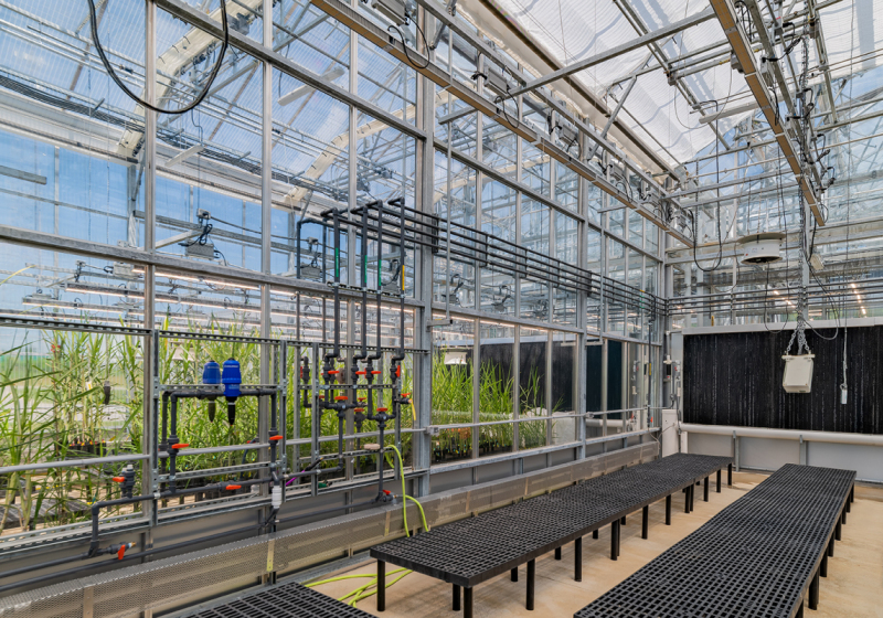 Danforth_Greenhouses-3_72