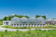 Danforth_Greenhouses-6_72