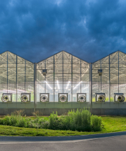 Danforth_Greenhouses-8_72