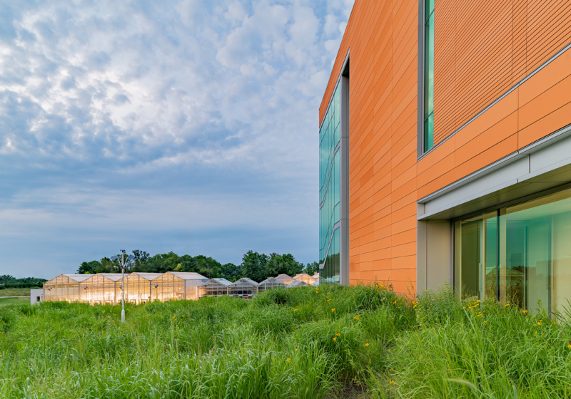 Danforth_Greenhouses-9_72